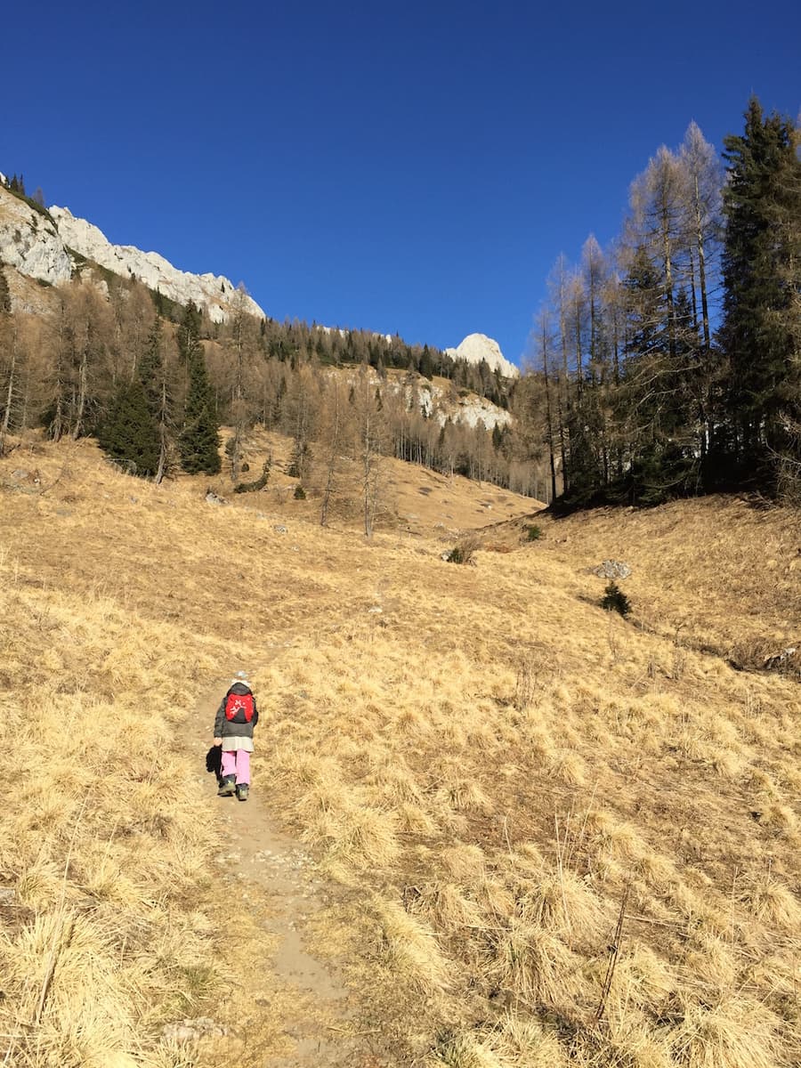 I am a naturalist and I am inspired by wild places and natural materials